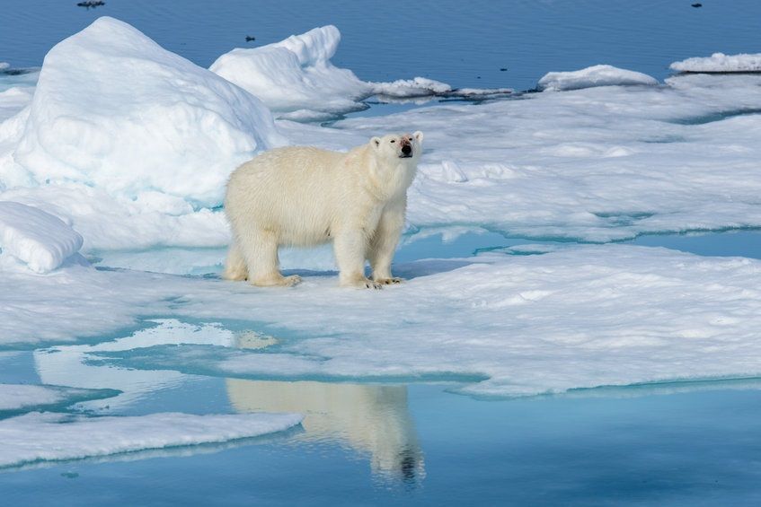 Algorand-gestütztes Netzwerk PlanetWatch geht eine Partnerschaft mit ClimateTrade ein