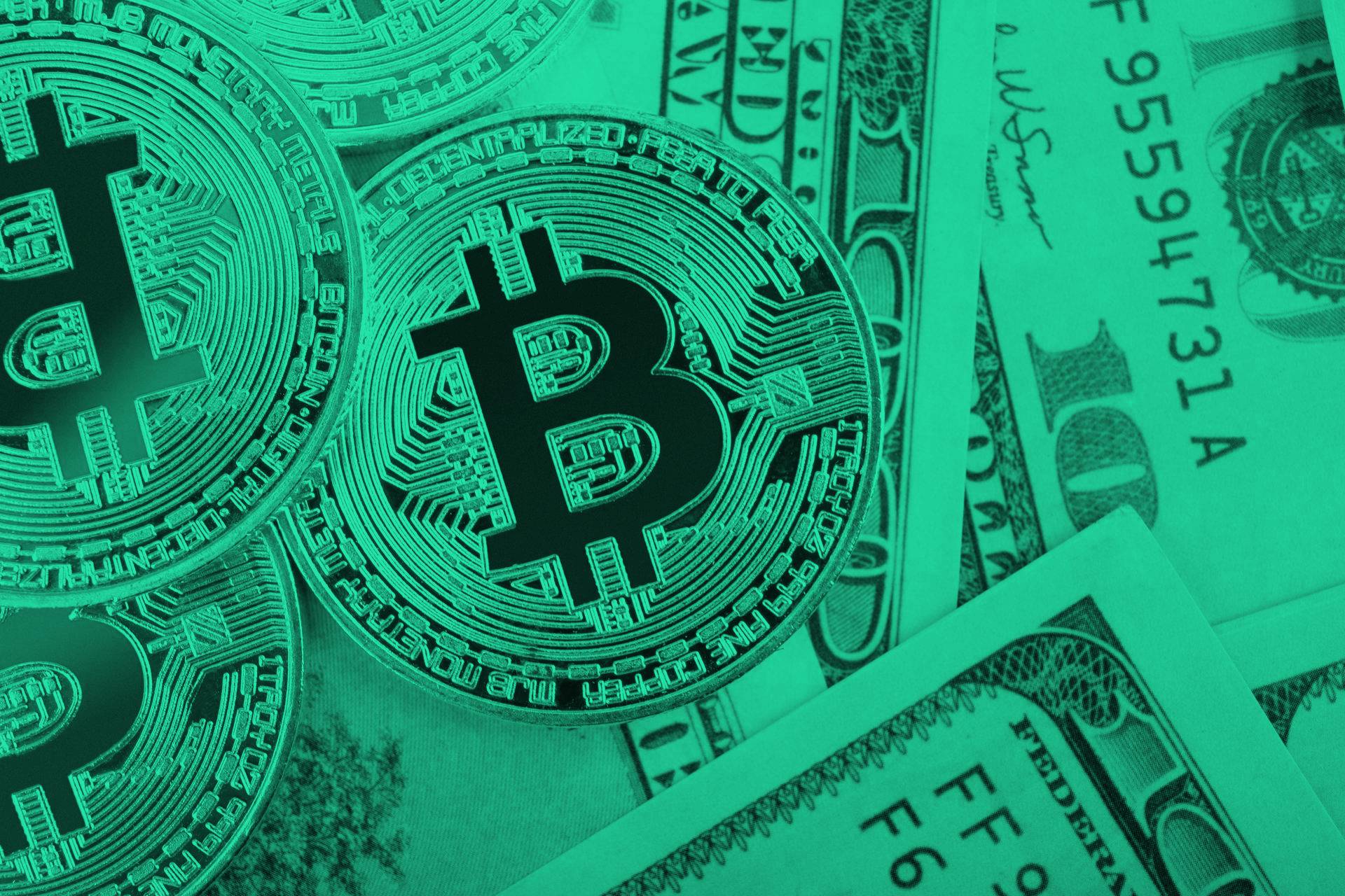 Bitcoin Investoren halten BTC bis zum nächsten Bitcoin Kurs Bullrun – Unbewegte Bitcoin erreichen neues Allzeithoch