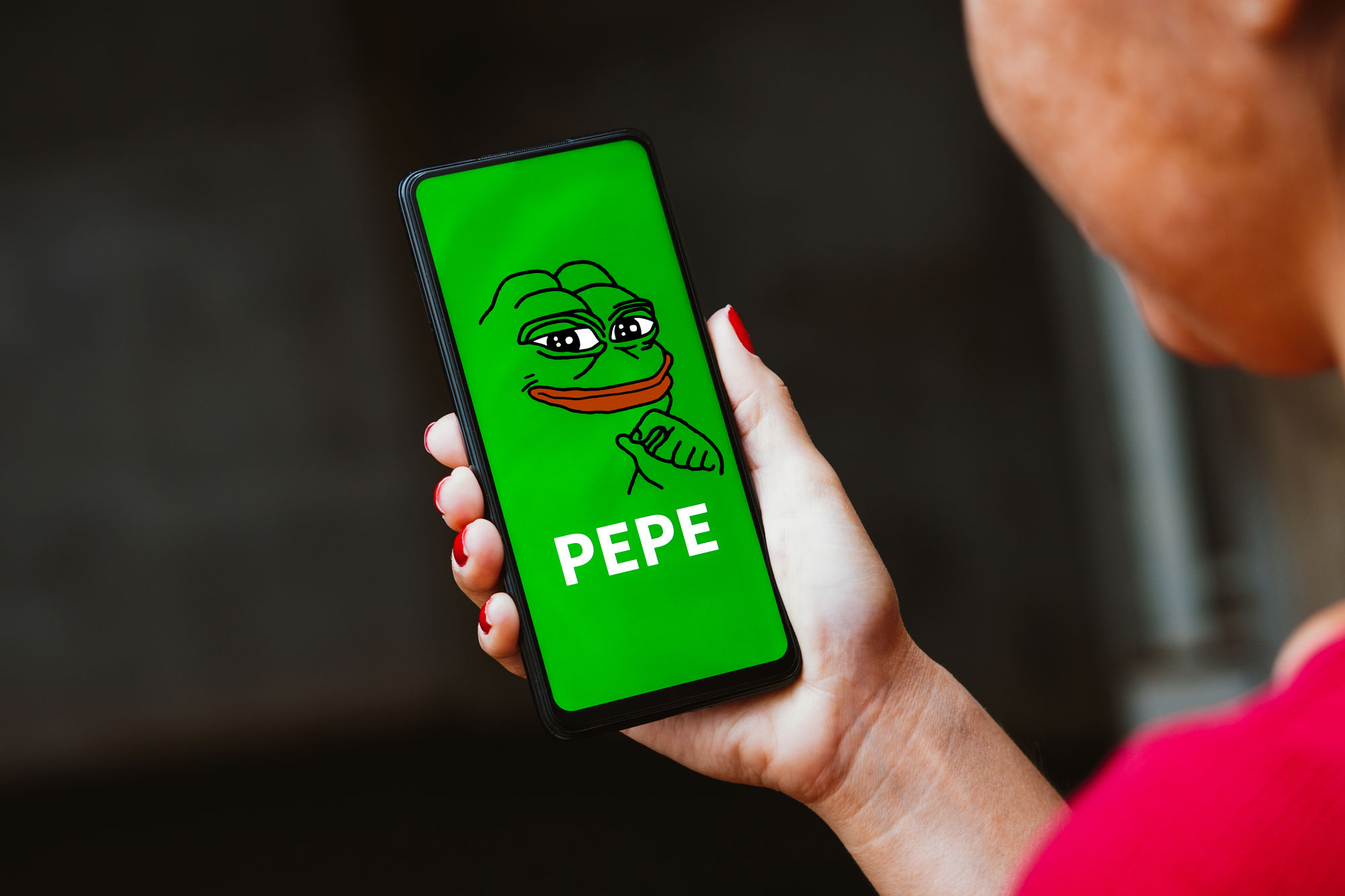 Meme-Coins: Pepe Preis steigt um 16 Prozent und erreicht neues Allzeithoch