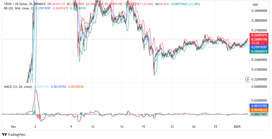 Le prix du Tron est sur le point de se redresser après la baisse de décembre - La Crypto Monnaie