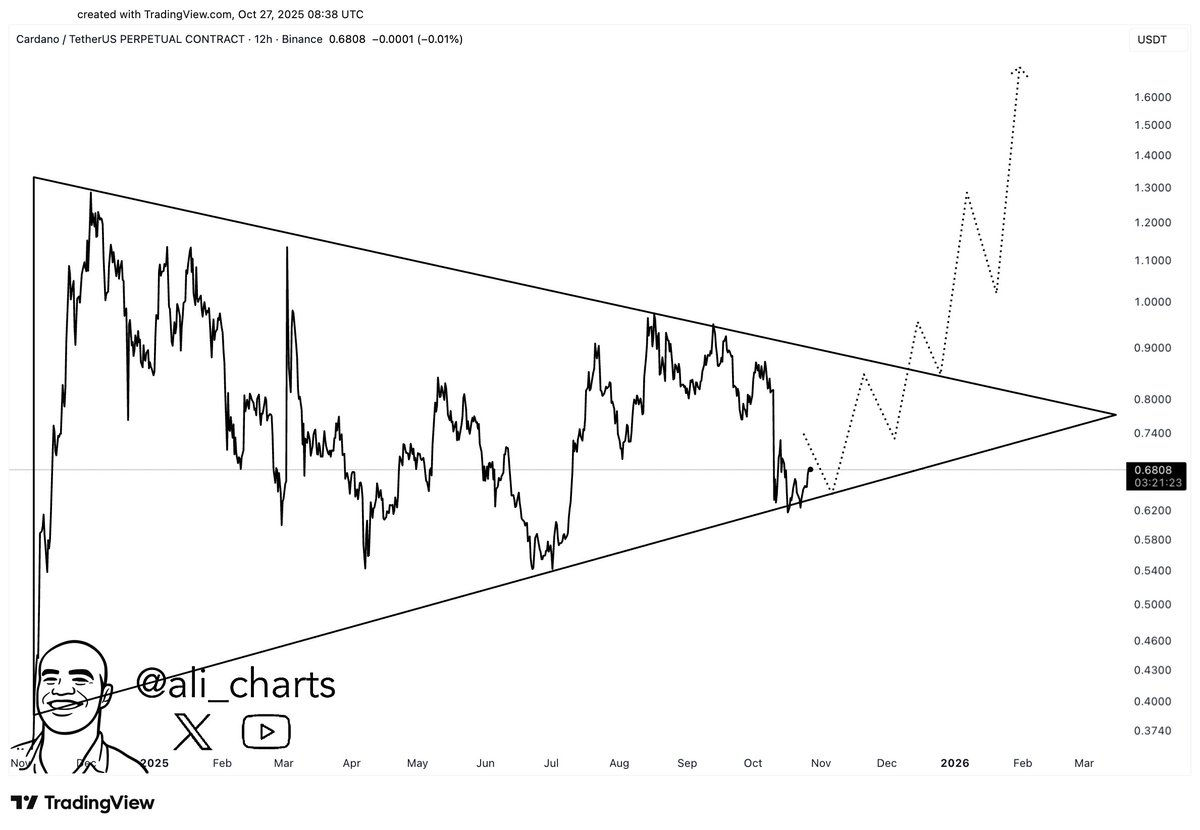 Le prix de Cardano chute alors que les baleines abandonnent 100 millions d'ADA en 3 jours - La Crypto Monnaie