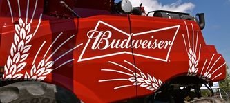 Budweiser bringt 1936 NFTs raus, die als Schlüssel zu "Budverse" dienen