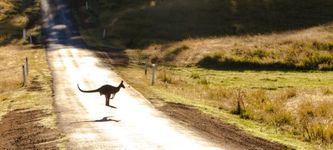 Australische Aufsichtsbehörde genehmigt Bitcoin und Ethereum ETFs