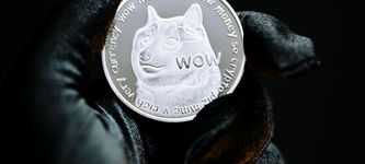 DOGE News: Nur 3 Wallets halten über 2,2 Milliarden USD an Dogecoin