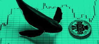 Bitcoin Whale Alarm: BTC Whales bewegen fast 35.000 BTC in nur 10h