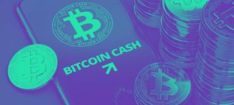 Bitcoin Cash Halving in wenigen Stunden – Steht BCH vor dem Aus?