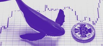 Bitcoin Whale Alarm: Bitcoin Whale wettet mit CZ Binance auf einen BTC Kurs-Einbruch unter 8.000 USD