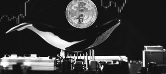 Bitcoin Whale Alarm: Bringen Bitcoin Whales den nächsten Pump?