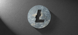 Litecoin (LTC): Analyse der On-Chain-Daten