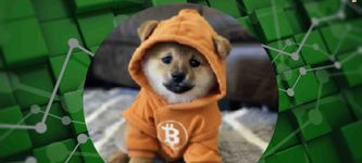 DOG•GO•TO•THE•MOON: Meme-Coin übertrifft den Markt mit 25% Gewinn