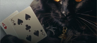 Top Cat Memecoins auf Solana: Blackjack ($JACK) geht morgen an den Start