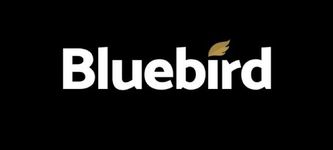 Bluebird Mining Ventures übernimmt Bitcoin-Treasury-Strategie