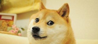 House of Doge und CleanCore starten $175M Dogecoin-Schatzkammer