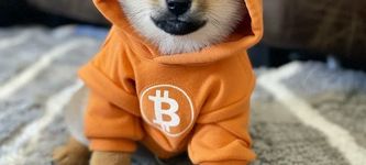 $DOG-Memecoin visiert Coinbase-Listing an – nach Binance-Aus
