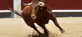 Kryptomarkt-Rallye heute: Ist dies die Rückkehr eines Bullenmarktes oder nur ein Dead Cat Bounce?