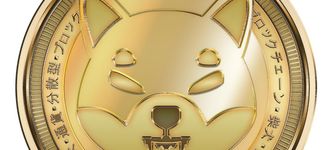 Shiba Inu Coin: Burning-Rate von SHIB bricht ein