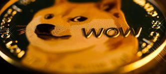 Dogecoin-Preis stieg nach der Twitter-Übernahme um 30% – Wo kann man DOGE kaufen?