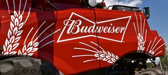 Budweiser bringt 1936 NFTs raus, die als Schlüssel zu "Budverse" dienen