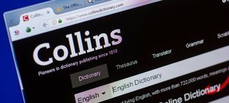 NFT wurde von Collins Dictionary zum Wort des Jahres gekürt