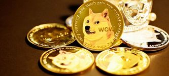 Dogecoin (DOGE) erobert die 0,31 $-Marke zurück und ist bereit für weitere Gewinne