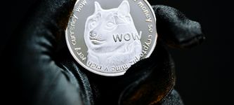 DOGE News: Nur 3 Wallets halten über 2,2 Milliarden USD an Dogecoin