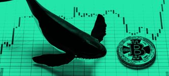 Bitcoin Whale & Mt. Gox Verwalter verantwortlich für den Bitcoin Absturz?