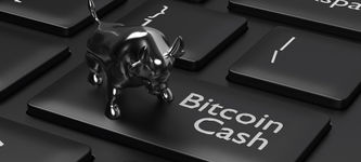 Bitcoin Cash Krieg: Steht jetzt Bitcoin Cash ABC als Sieger fest?