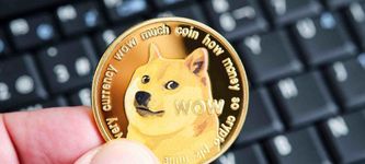 NEIRO Meme-Coins: Hype nach Adoption von neuem Hund durch Doge’s Besitzerin