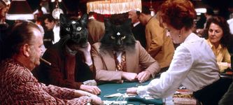 Blackjack ($JACK) geht in Betrieb: Der nächste Großkatzen-Coin, der Solana übernimmt