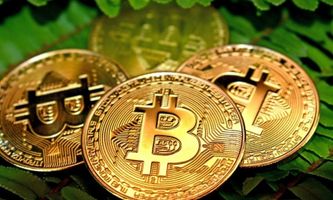 Trump-Unterstützte American Bitcoin plant Börsengang durch $350M Gryphon Digital Fusion