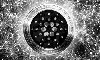 Cardano Kurs im Aufwind: Wale investieren Millionen in ADA