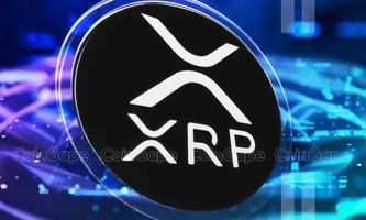 Trident Digital will 500 Millionen Dollar für die XRP-Treasury-Reserve aufbringen