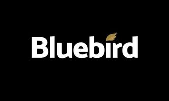 Bluebird Mining Ventures übernimmt Bitcoin-Treasury-Strategie
