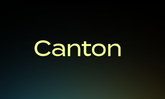 Canton Network Coin erholt sich, da sich die Dynamik stabilisiert