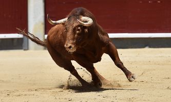 Kryptomarkt-Rallye: Warum steigen Altcoins heute vor der Entscheidung des FOMC?