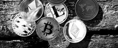 Popcat Soars to New ATH as Investors Eye Solciety