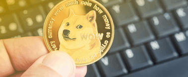 Popcat Soars to New ATH as Investors Eye Solciety