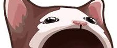 Popcat Soars to New ATH as Investors Eye Solciety