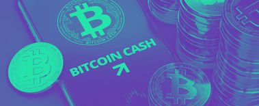 Popcat Soars to New ATH as Investors Eye Solciety
