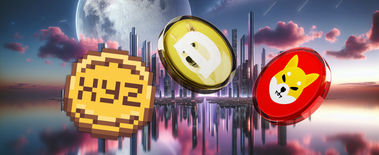 Popcat Soars to New ATH as Investors Eye Solciety