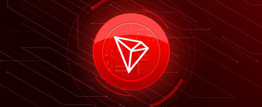 Popcat Soars to New ATH as Investors Eye Solciety