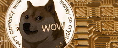 Popcat Soars to New ATH as Investors Eye Solciety
