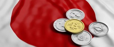 Popcat Soars to New ATH as Investors Eye Solciety