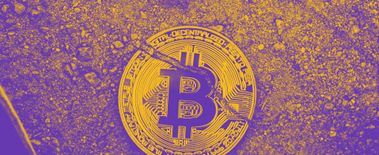 Popcat Soars to New ATH as Investors Eye Solciety