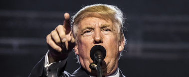 Popcat Soars to New ATH as Investors Eye Solciety