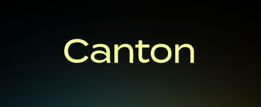 Popcat Soars to New ATH as Investors Eye Solciety