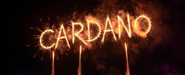 Popcat Soars to New ATH as Investors Eye Solciety