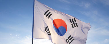 Popcat Soars to New ATH as Investors Eye Solciety