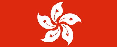 Popcat Soars to New ATH as Investors Eye Solciety