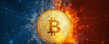 Popcat Soars to New ATH as Investors Eye Solciety